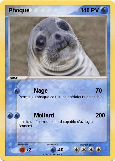 Pokemon Phoque