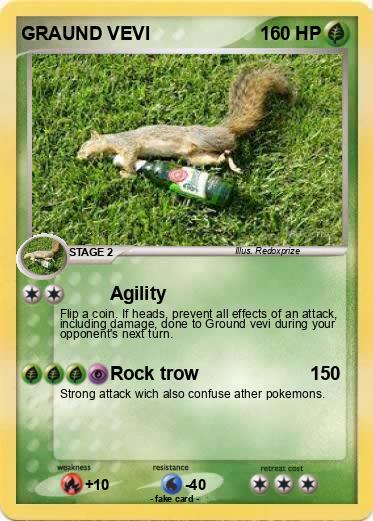 Pokemon GRAUND VEVI