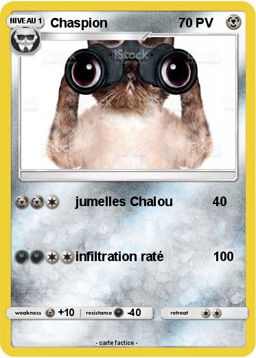 Pokemon Chaspion