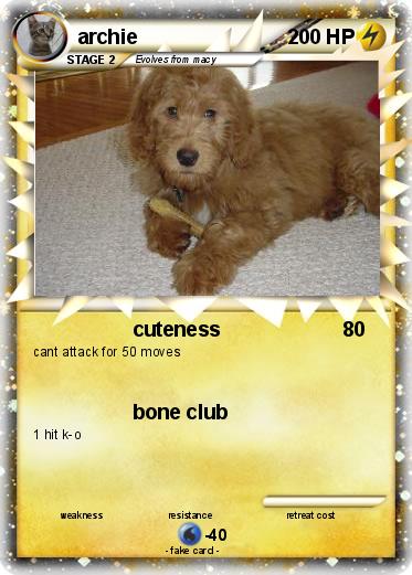 Pokemon archie