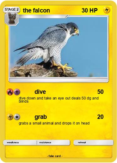 Pokemon the falcon