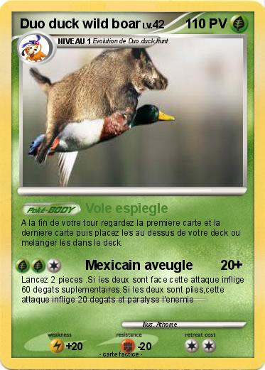 Pokemon Duo duck wild boar