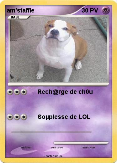 Pokemon am'staffie