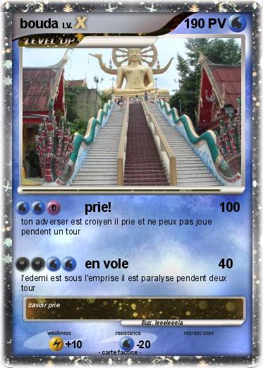 Pokemon bouda