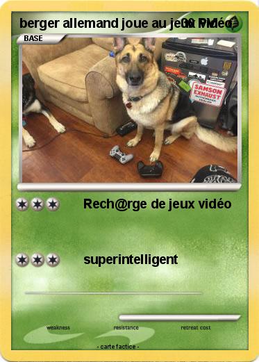 Pokemon berger allemand joue au jeux vidéo