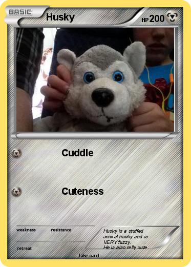 Pokemon Husky