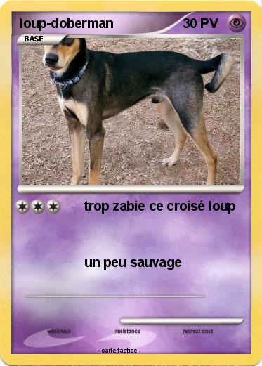 Pokemon loup-doberman
