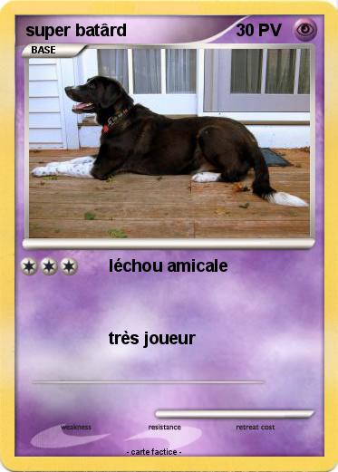 Pokemon super batârd