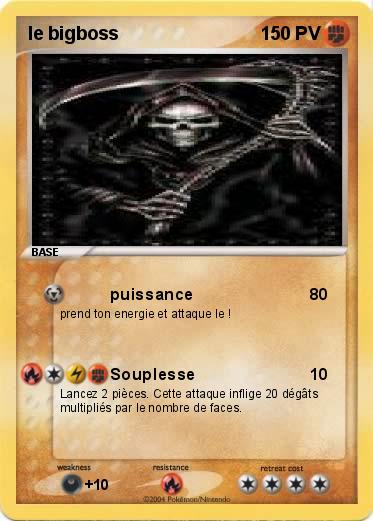 Pokemon le bigboss