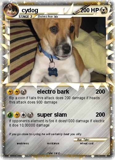 Pokemon cydog