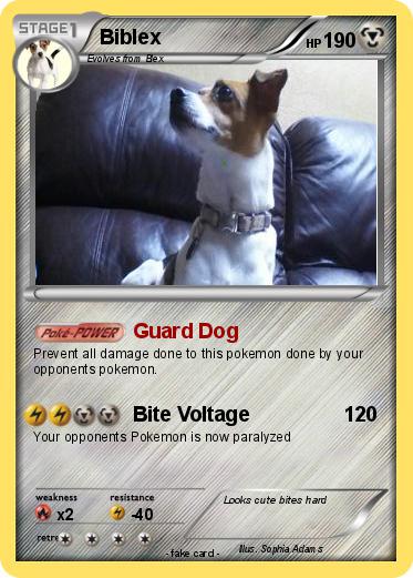 Pokemon Biblex