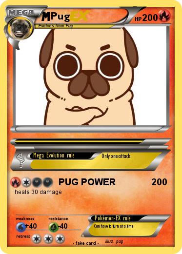 Pokemon Pug