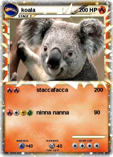 Pokemon koala