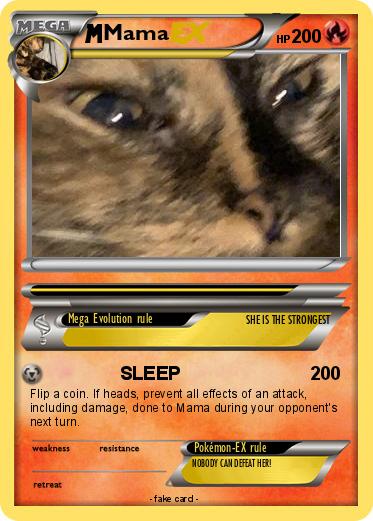 Pokemon Mama