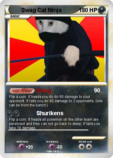Pokemon Swag Cat Ninja