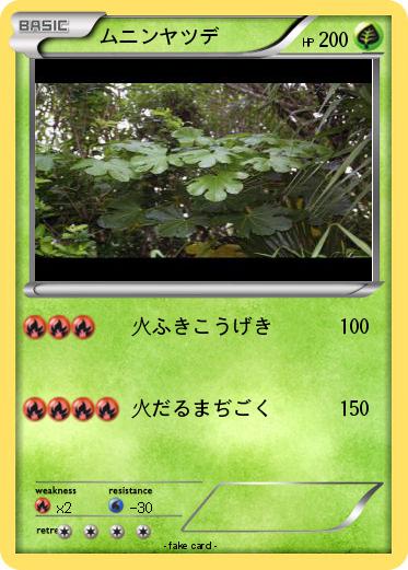 Pokemon ムニンヤツデ