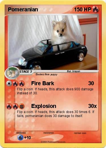 Pokemon Pomeranian
