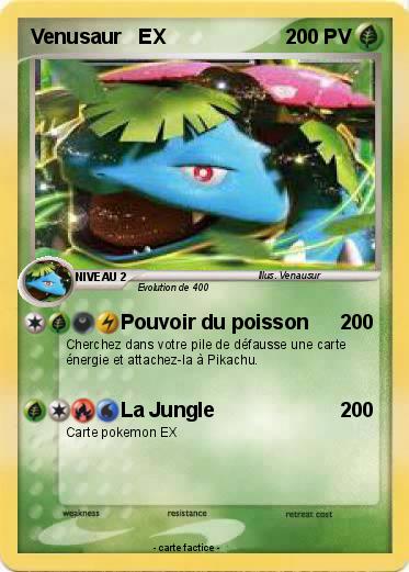 Pokemon Venusaur   EX