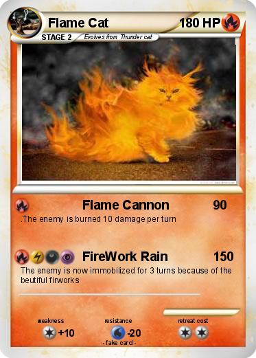 Pokemon Flame Cat