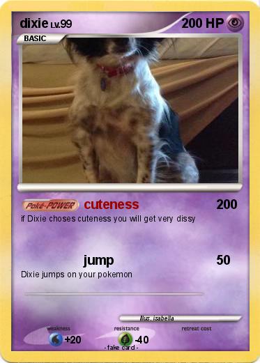 Pokemon dixie