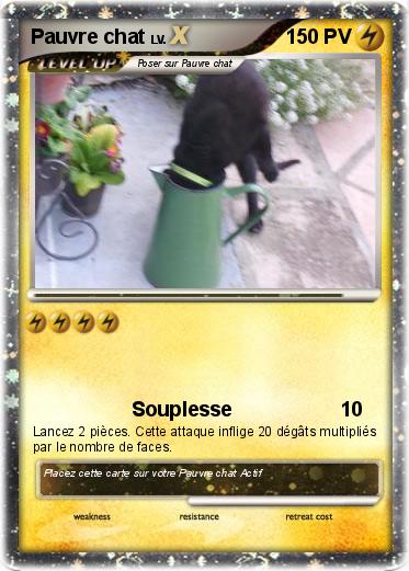 Pokemon Pauvre chat