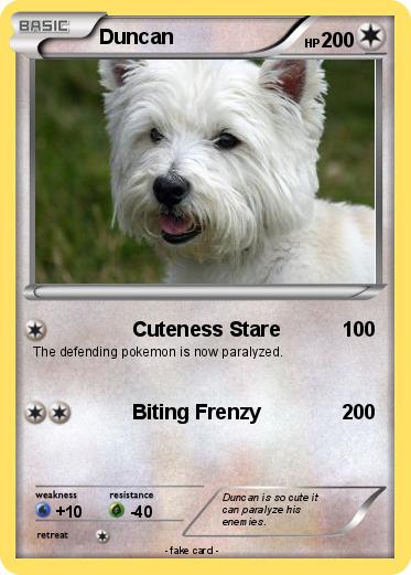Pokemon Duncan