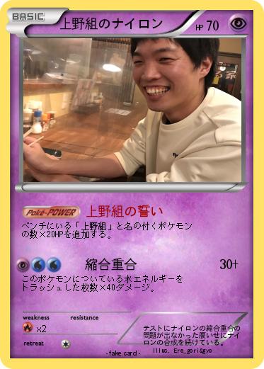 Pokemon 上野組のナイロン