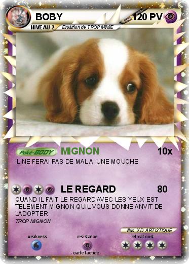 Pokemon BOBY