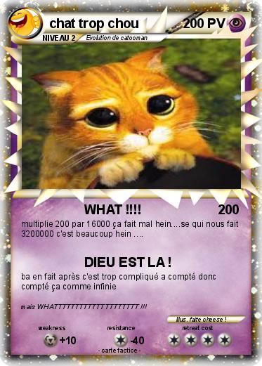 Pokemon chat trop chou