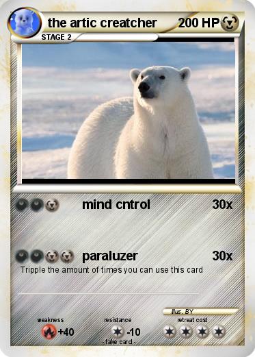 Pokemon the artic creatcher