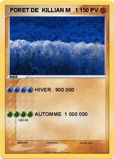 Pokemon  FORET DE  KILLIAN M   1