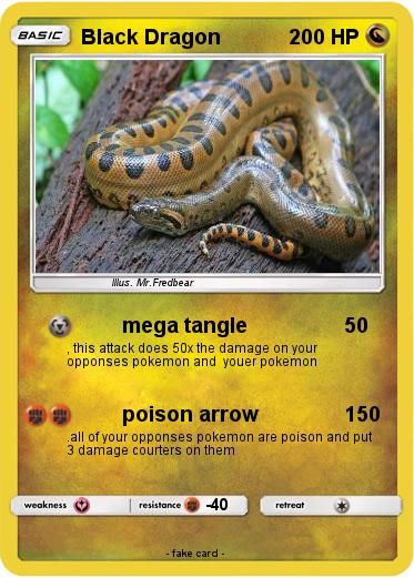 Pokemon Black Dragon