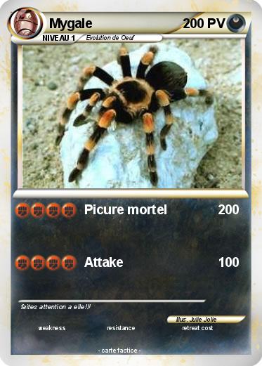 Pokemon Mygale