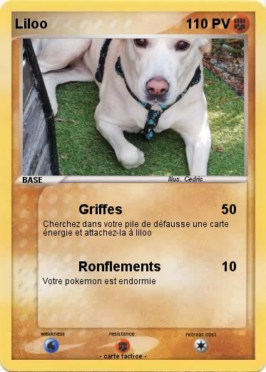 Pokemon Liloo