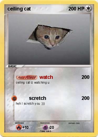 Pokemon ceiling cat