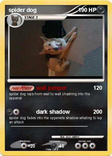 Pokemon spider dog