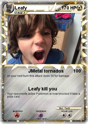 Pokemon Leafy