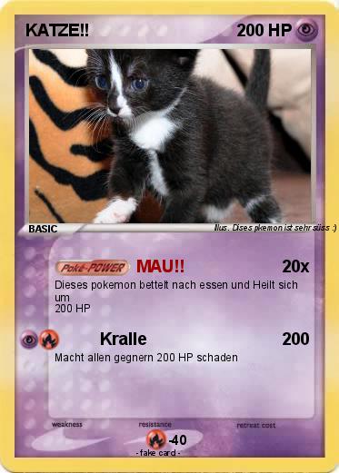 Pokemon KATZE!!