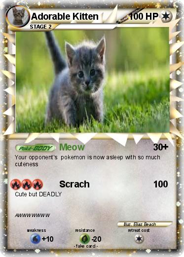 Pokemon Adorable Kitten