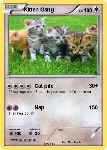 Pokemon Kitten Gang