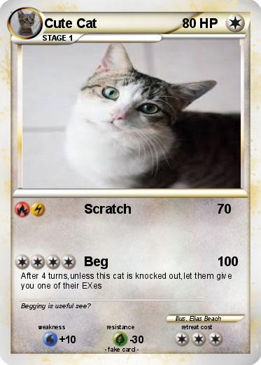 Pokemon Cute Cat