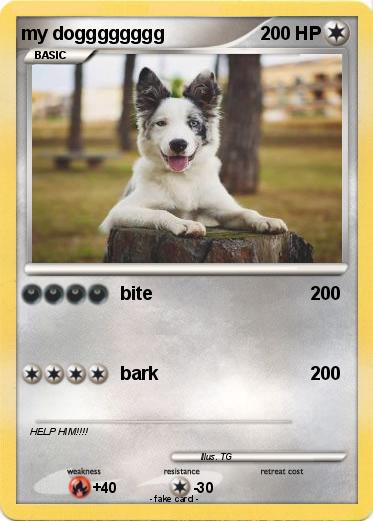 Pokemon my dogggggggg