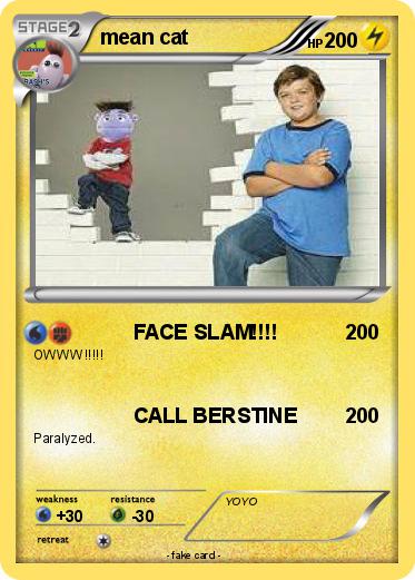 Pokemon mean cat