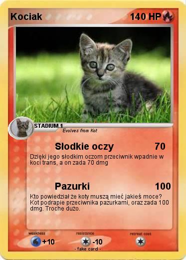 Pokemon Kociak