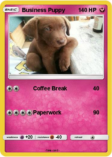 Pokemon Business Puppy