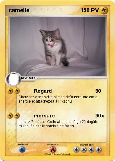 Pokemon camelle