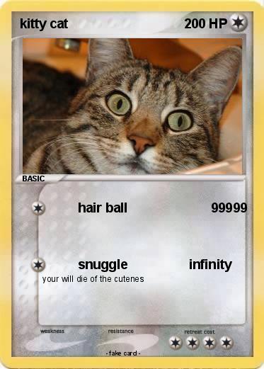 Pokemon kitty cat