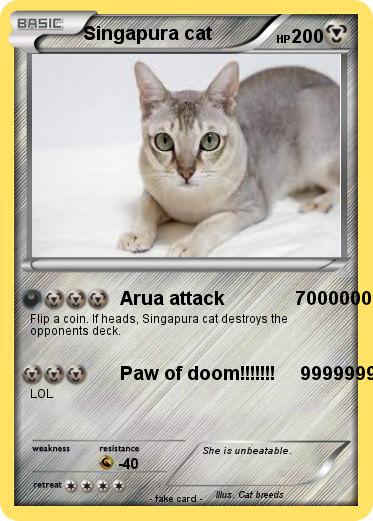 Pokemon Singapura cat