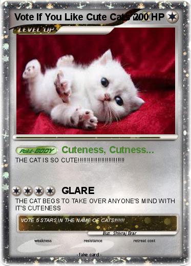 Pokemon Vote If You Like Cute Cats