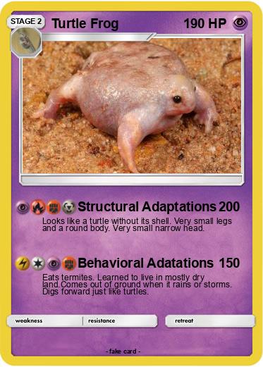 Pokemon Turtle Frog